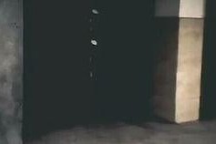 国产精www,传承与创新的中国文化瑰宝