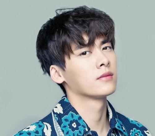 娱乐圈吃瓜李易峰是谁啊,揭秘李易峰的星光之路