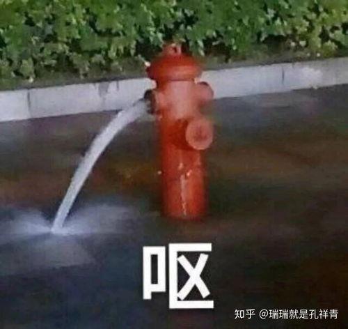 孙悟空吃瓜表情包