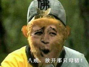 孙悟空吃瓜表情包